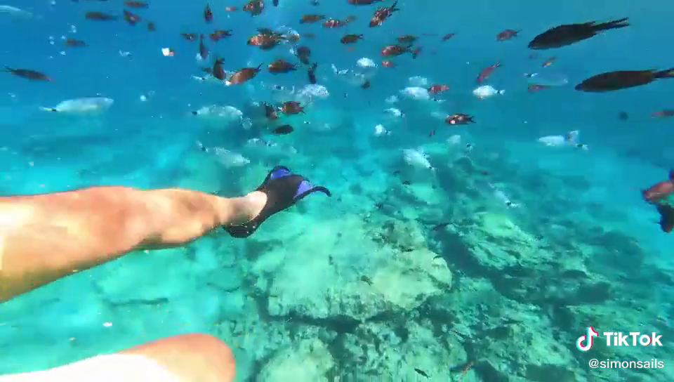 Vlcsnap 2025 04 22 16h29m05s207 YZ98QpXV8kS5x05L